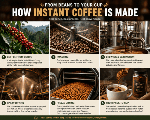 How instant coffee is made from roasted coffee beans through brewing, spray drying and freeze drying
